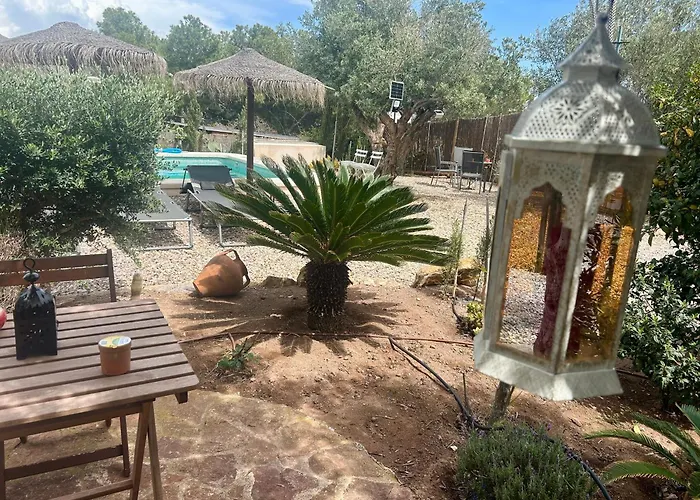 La Washingtonia